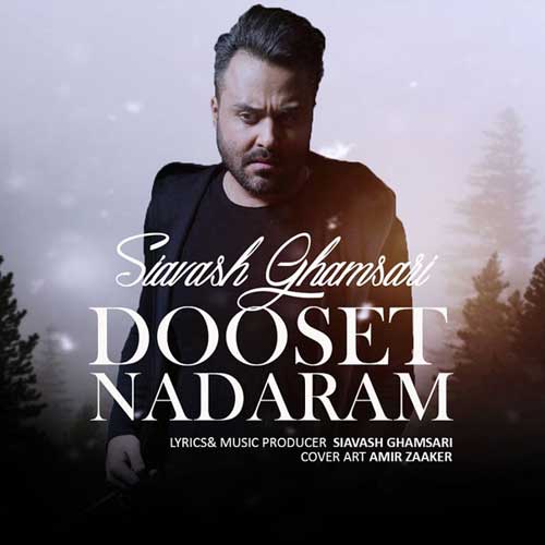 Siavash Ghamsari Dooset Nadaram - دانلود آهنگ جدید سیاوش قمصری به نام دوست ندارم