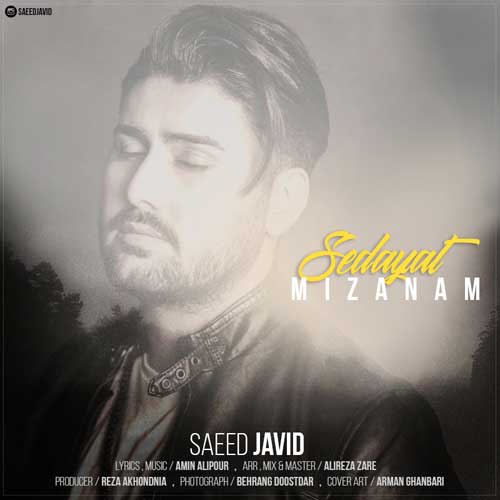 Saeed Javid Sedayat Mizanam - دانلود آهنگ جدید سعید جاوید به نام صدات میزنم