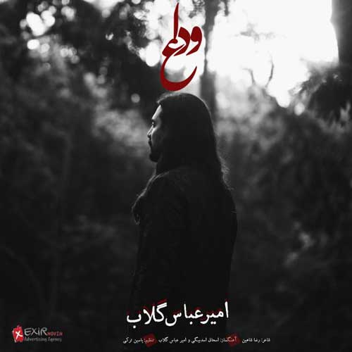 Amirabbas Golab Vedaa - وداع از امیر عباس گلاب