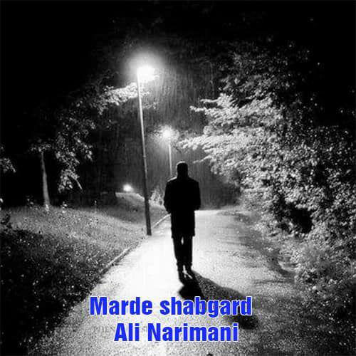 Ali Narimani Marde Shabgard - مرد شبگرد از علی نریمانی