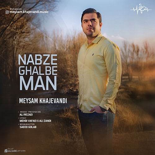 نبض قلب من از میثم خواجه وندی Meysam Khajevandi Nabze Ghalbe Man - نبض قلب من از میثم خواجه وندی