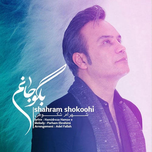 Shahram Shokoohi Bego Janam - بگو جانم از شهرام شکوهی
